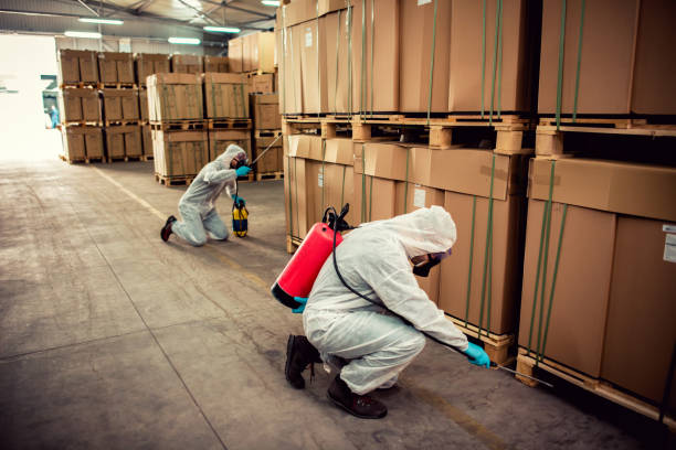 Best Exterminator Services  in Oak Park Heights, MN