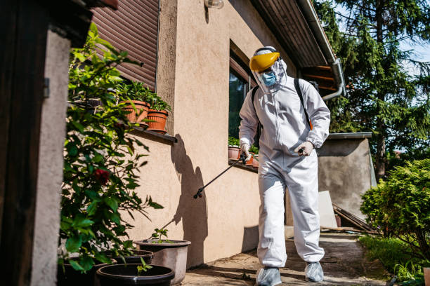 Best Rat Extermination Near Me  in Oak Park Heights, MN