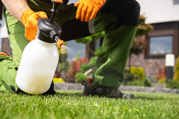 Best Pest Inspection Near Me  in Oak Park Heights, MN