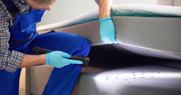 Best Mosquito Control Services  in Oak Park Heights, MN