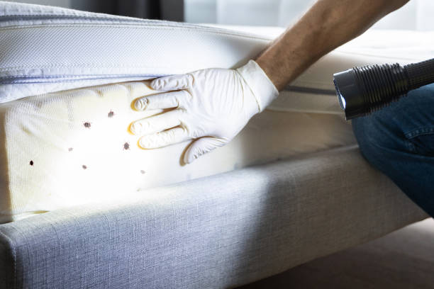 Pest Control for Restaurants in Oak Park Heights, MN