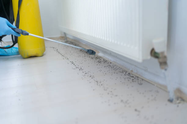 Best Cockroach Control Services  in Oak Park Heights, MN