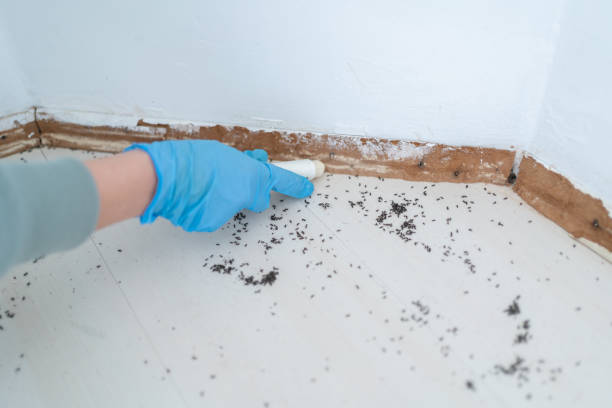 Best Affordable Pest Control Services  in Oak Park Heights, MN